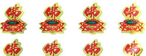 念金刚经的人金光