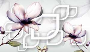 金刚经超度家人