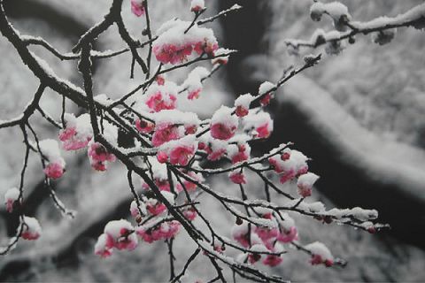 念佛求工作的感应