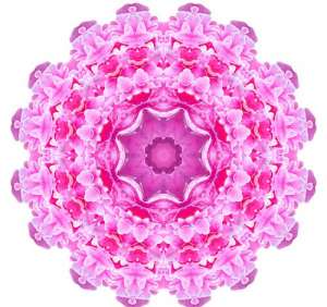 金刚经繁体