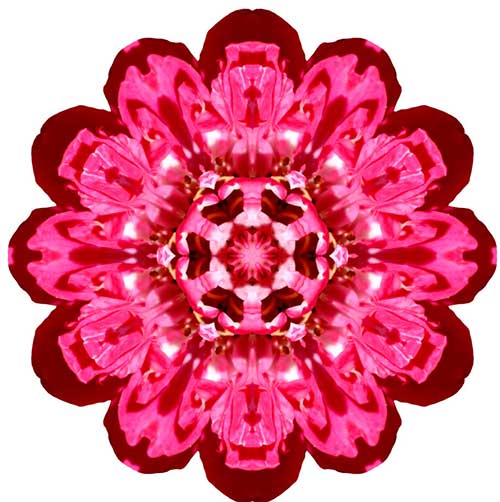 念金刚经回向给孩子